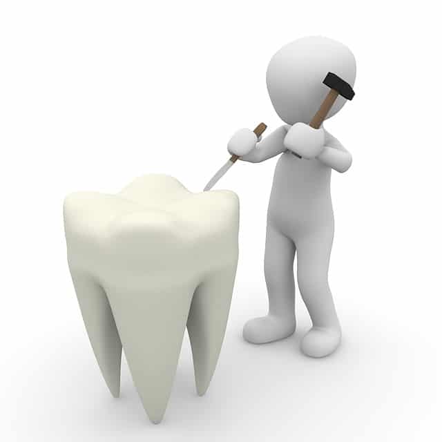 Schilddrüse lassen zähne nachwachsen Neue Zähne
